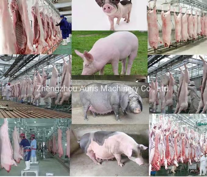 Commercial Use Pig Slaughter Line Pork Processing Machine Pig Hair Removing Equipment for Swine Abattoir Dehair Machine