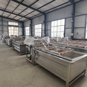 Industrial Peanut Fryer Machine Line Peanuts Kernels Frying Line
