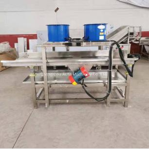 Industrial Peanut Fryer Machine Line Peanuts Kernels Frying Line