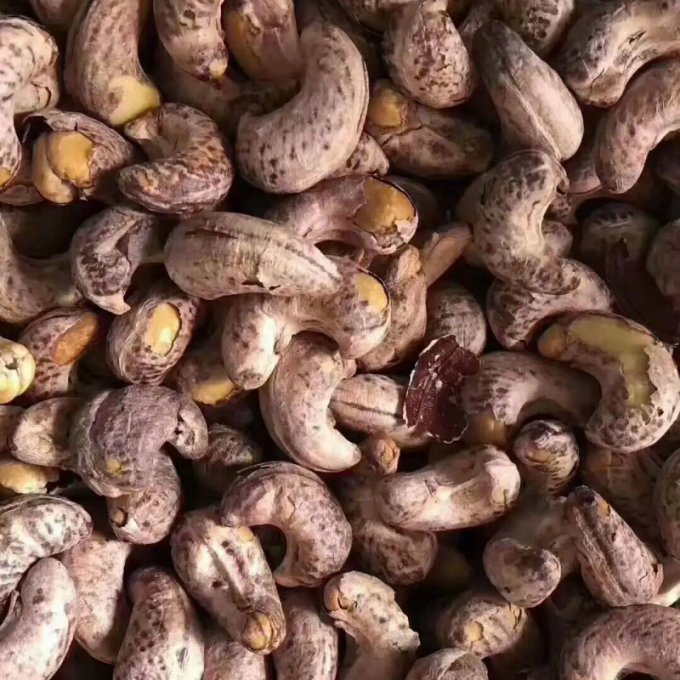 Commercial Cashew Processing Production Line Cashew Nut Grader Sheller Peeler Roaster Cashew Nut Production Line
