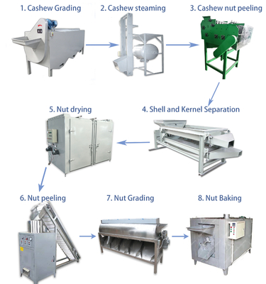 100kg Capacity Cashew Processing Machine Semi Automatic For Factory Use