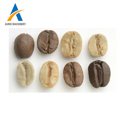 Processional 3kg 6kg 30kg Coffee Roaster Machine Coffee Bean Roasting Machine