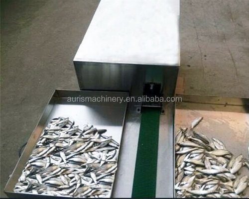 1800pcs/H Fish Processing Machines Back Opening Fish Cutting Machine Gutting Clean