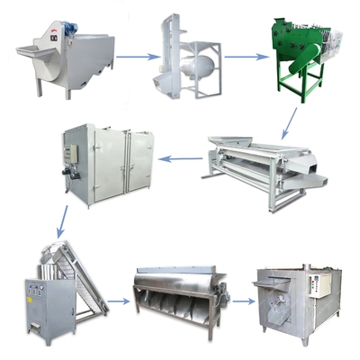 Roasting Dryer Nuts Processing Machine Peeling Cashew Grading Machine