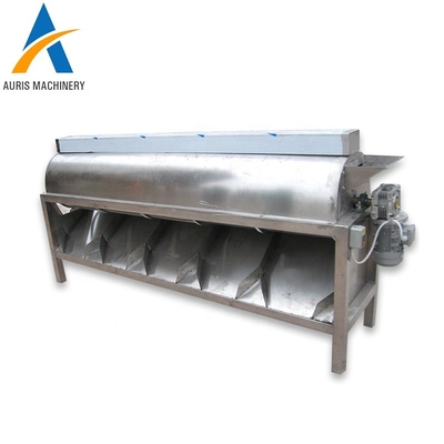 Roasting Dryer Nuts Processing Machine Peeling Cashew Grading Machine