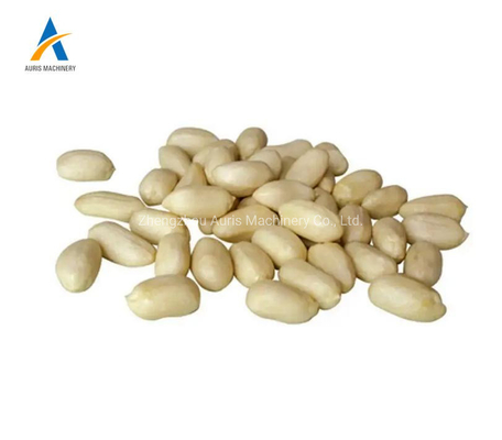 200kg Hour Nuts Processing Machine Industrial Kernels Peanut Fryer Machine