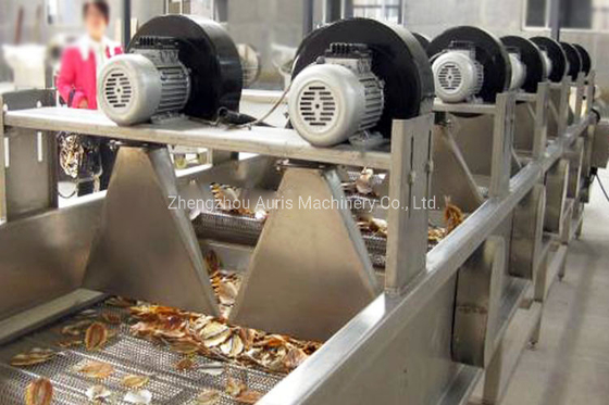 Kernel Blanching Nuts Processing Machine Walnut Cashew Nut Peeling Machine