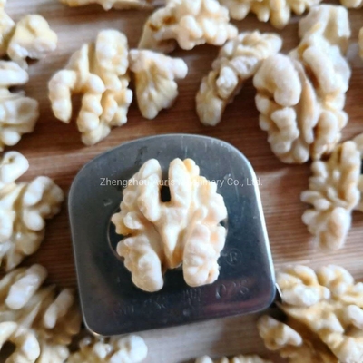Kernel Blanching Nuts Processing Machine Walnut Cashew Nut Peeling Machine