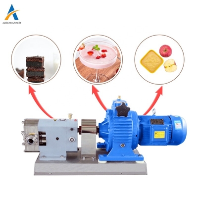 Stainless Steel Chocolate Internal Gear Pump Or Chocolate Syrup Honey Pump