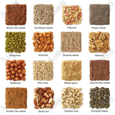 Vertical Sesame Hydraulic Oil Pressing Machine Walnut Tea See Sunflower Extruding